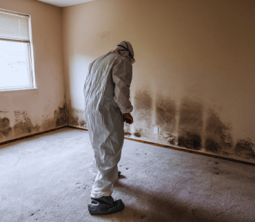 mold-remediation